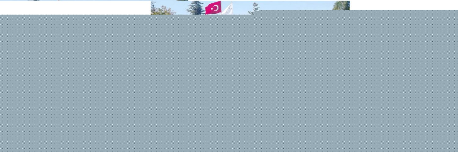 Eskişehir Vinç